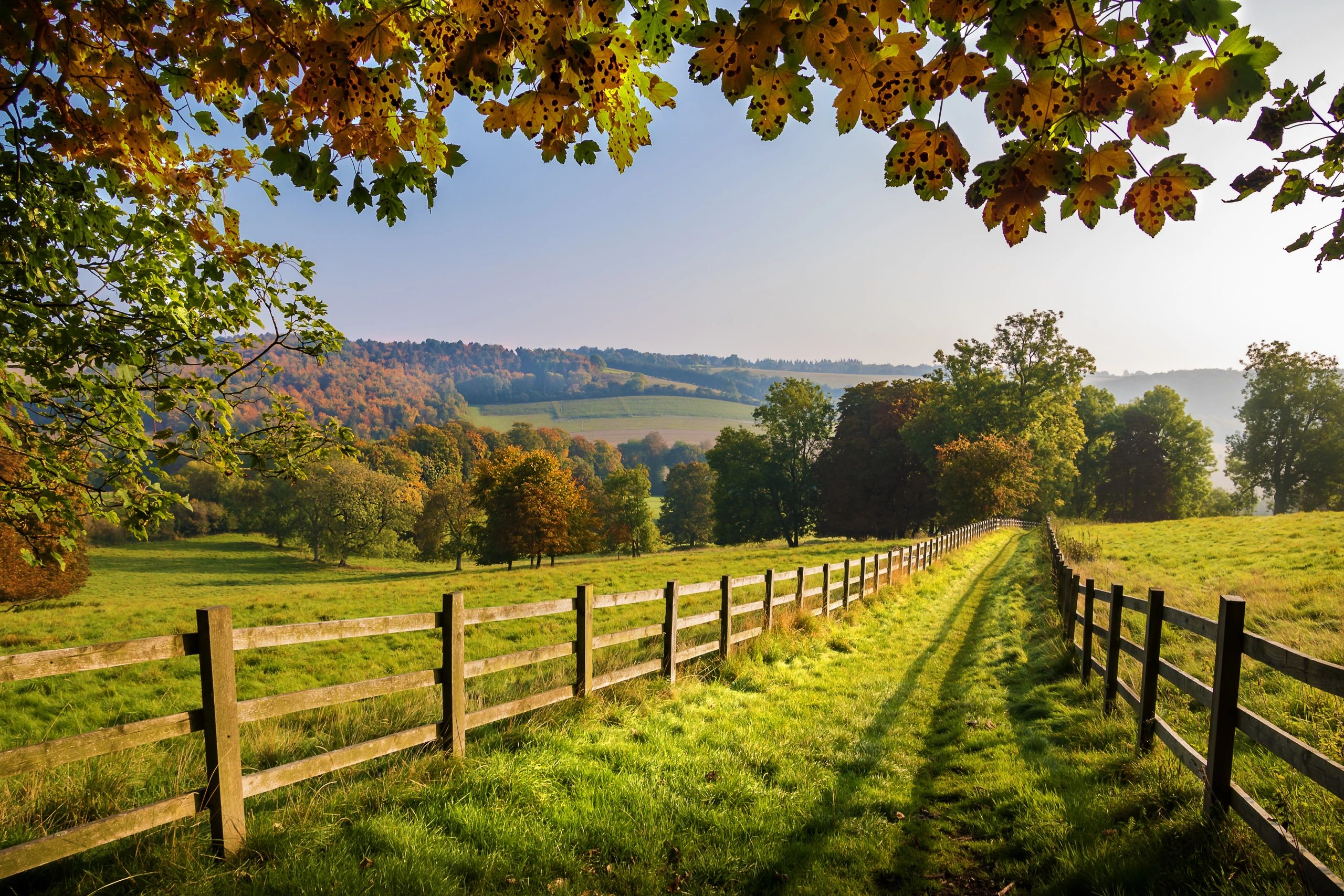 Where is Farmland Going?